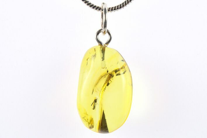 Polished Baltic Amber Pendant (Necklace) - Contains Fly! #273747